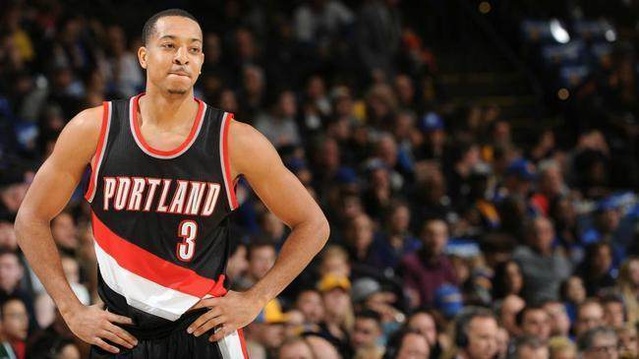 只猫的头像 只猫的头像